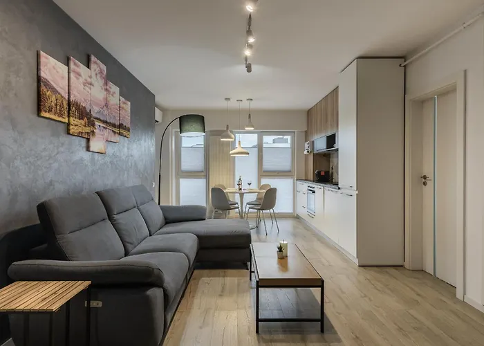 The Grey Nest, Free Private Parking * Kolozsvár